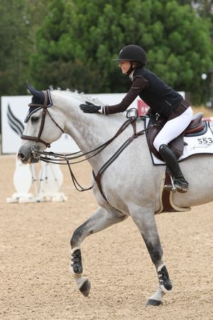 Rider petting her horse after a competition round