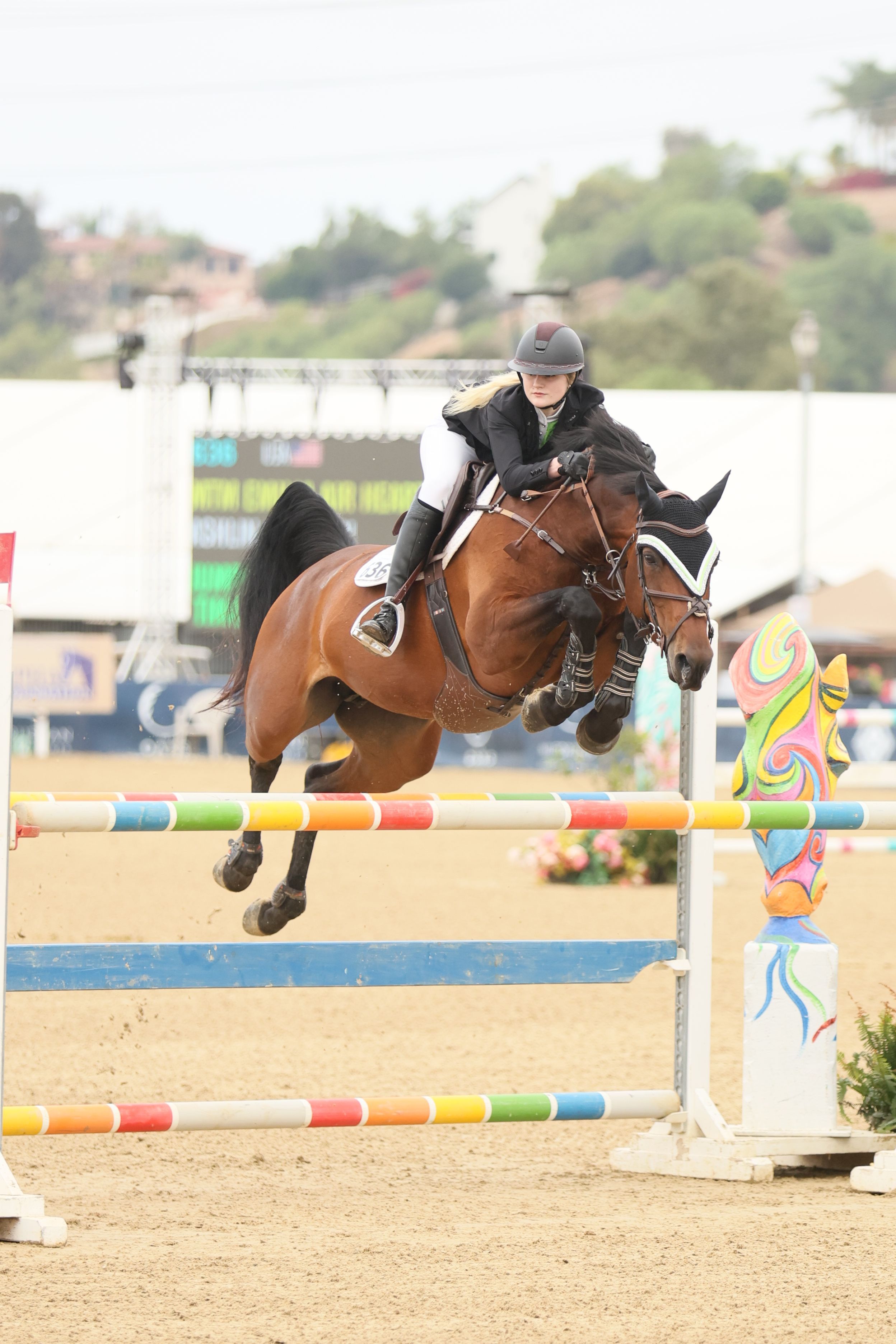Horse and rider captured in the competition ring, jumping over a fence