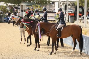 Awards presentation at a competitive equestrian event