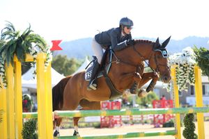 Horse and rider captured in the competition ring, jumping over a fence