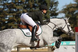 Horse and rider captured in the competition ring, jumping over a fence