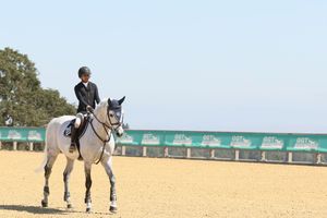 Horse and rider in competition, against a blue sky backdrop and yellow arena ground