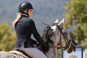 Horse and rider with hair blowing in the wind