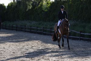 Horse and rider captured in the competition ring, jumping over a fence