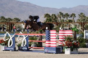 Horse and rider captured in the competition ring, jumping over a fence