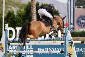 Horse and rider captured in the competition ring, jumping over a fence