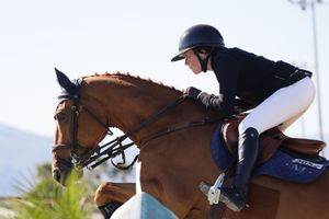 Horse and rider captured in the competition ring, jumping over a fence