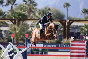 Horse and rider captured in the competition ring, jumping over a fence