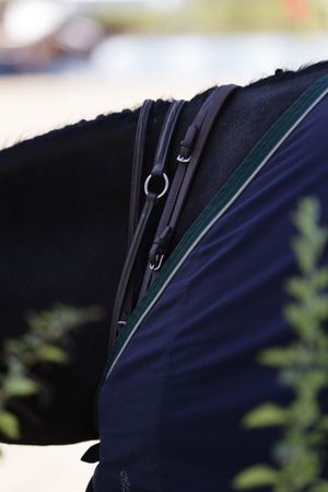 Horse tack