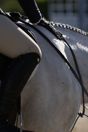 Rider patting her horse