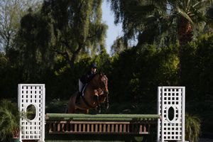 Horse and rider captured in the competition ring, jumping over a fence