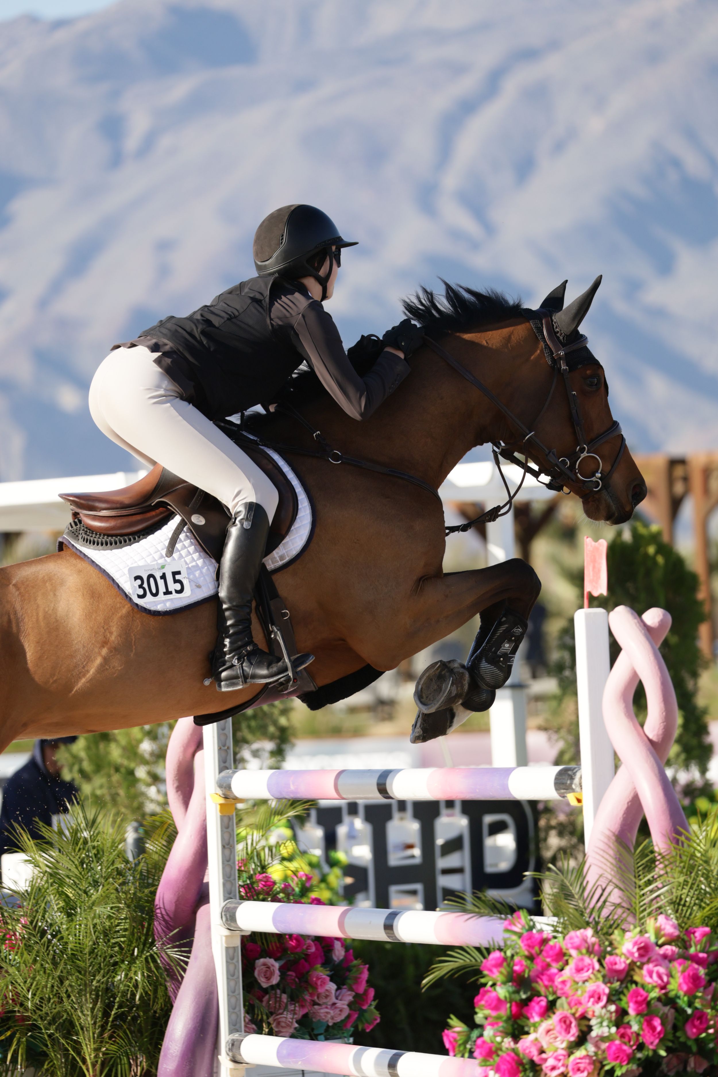 Horse and rider captured in the competition ring, jumping over a fence