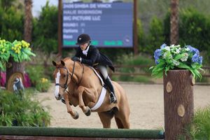 Horse and rider captured in the competition ring, jumping over a fence with scoreboard in the back