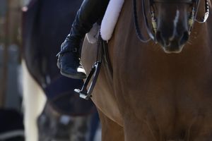 Rider's foot finding a stirrup