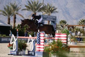 Horse and rider captured in the competition ring, jumping over a fence
