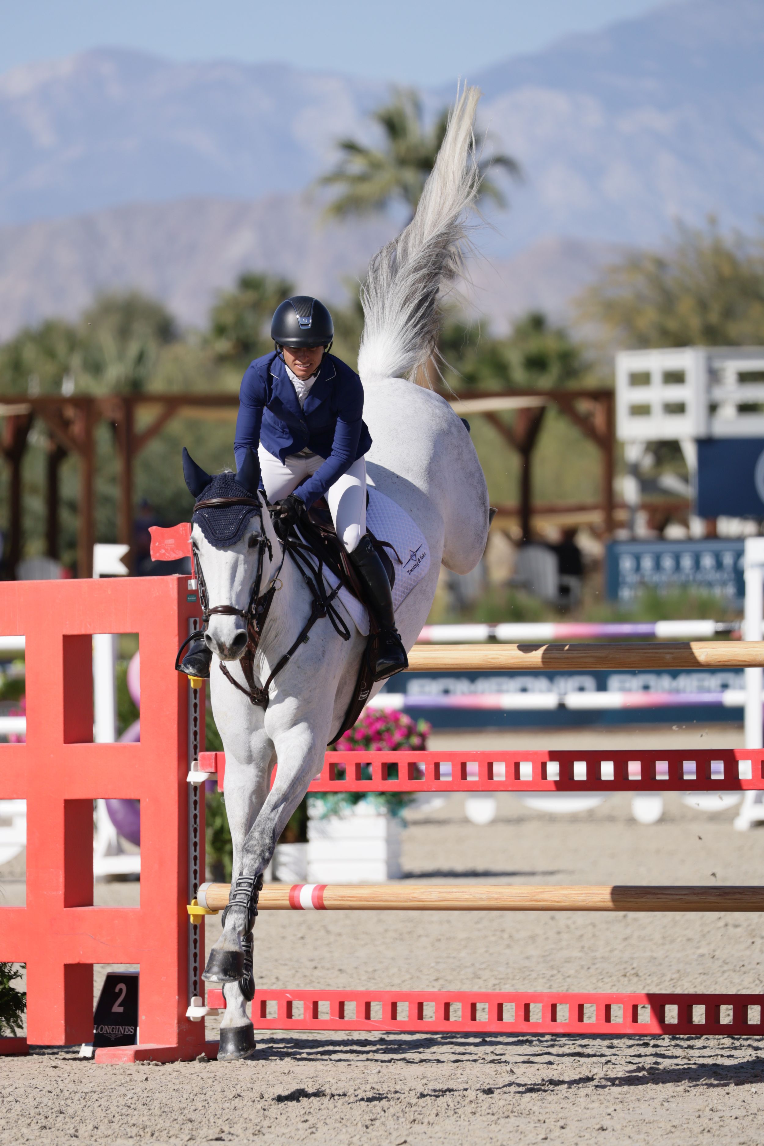 Horse and rider captured in the competition ring, jumping over a fence