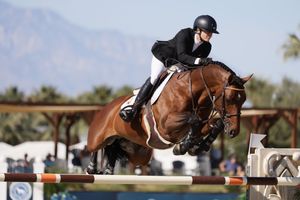 Horse and rider captured in the competition ring, jumping over a fence