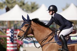 Horse and rider captured in the competition ring, jumping over a fence