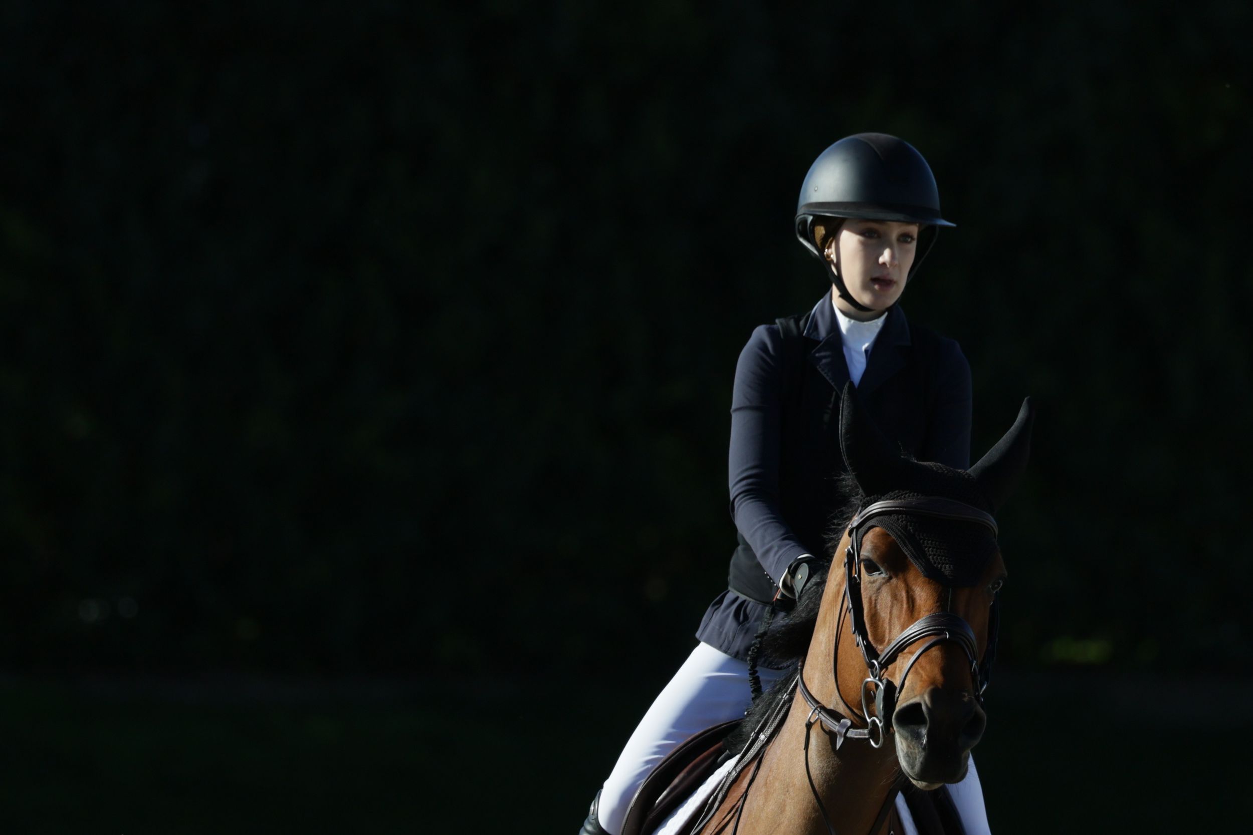 Horse and rider against dark backdrop