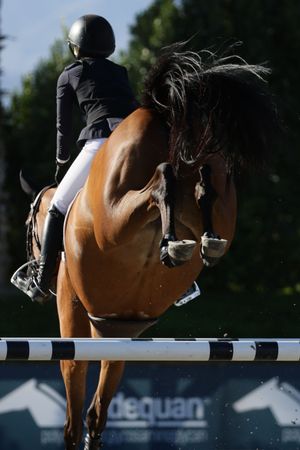 Horse and rider captured in the competition ring, jumping over a fence