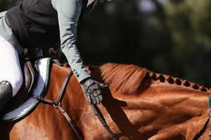 Rider patting her chestnut coloured horse with braids after a competition round