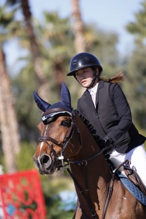 Horse and rider with hair blowing in the wind, approaching a jump