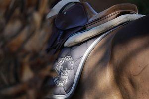 Saddle