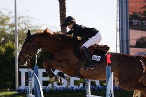 Horse and rider captured in the competition ring, jumping over a fence