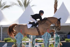 Horse and rider captured in the competition ring, jumping over a fence