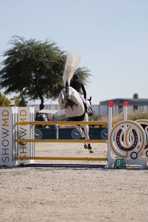 Horse and rider captured in the competition ring, jumping over a fence, kicking up his hind legs and tail flying