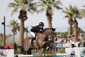 Horse and rider captured in the competition ring, jumping over a fence