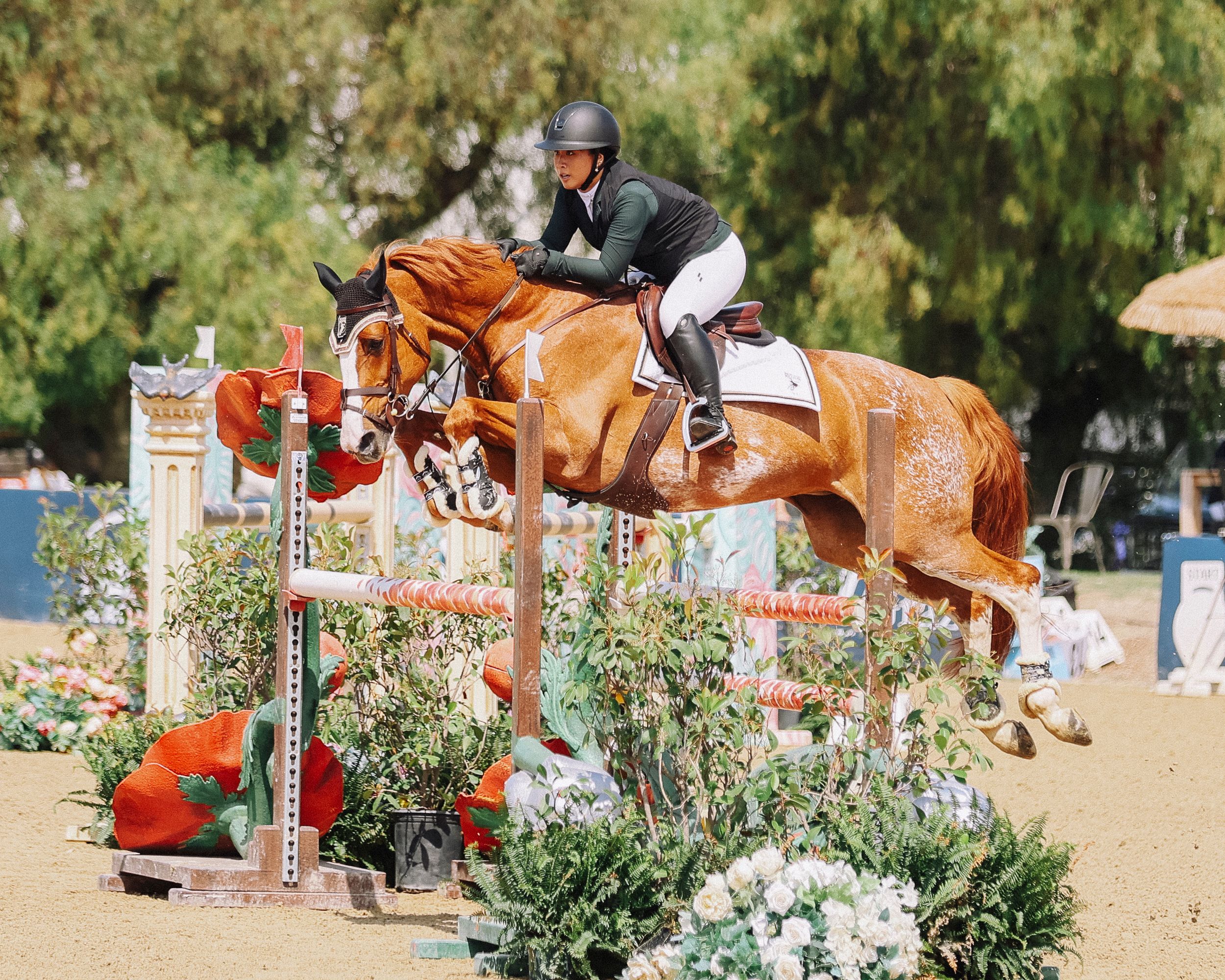 Horse and rider captured in the competition ring, jumping over a fence
