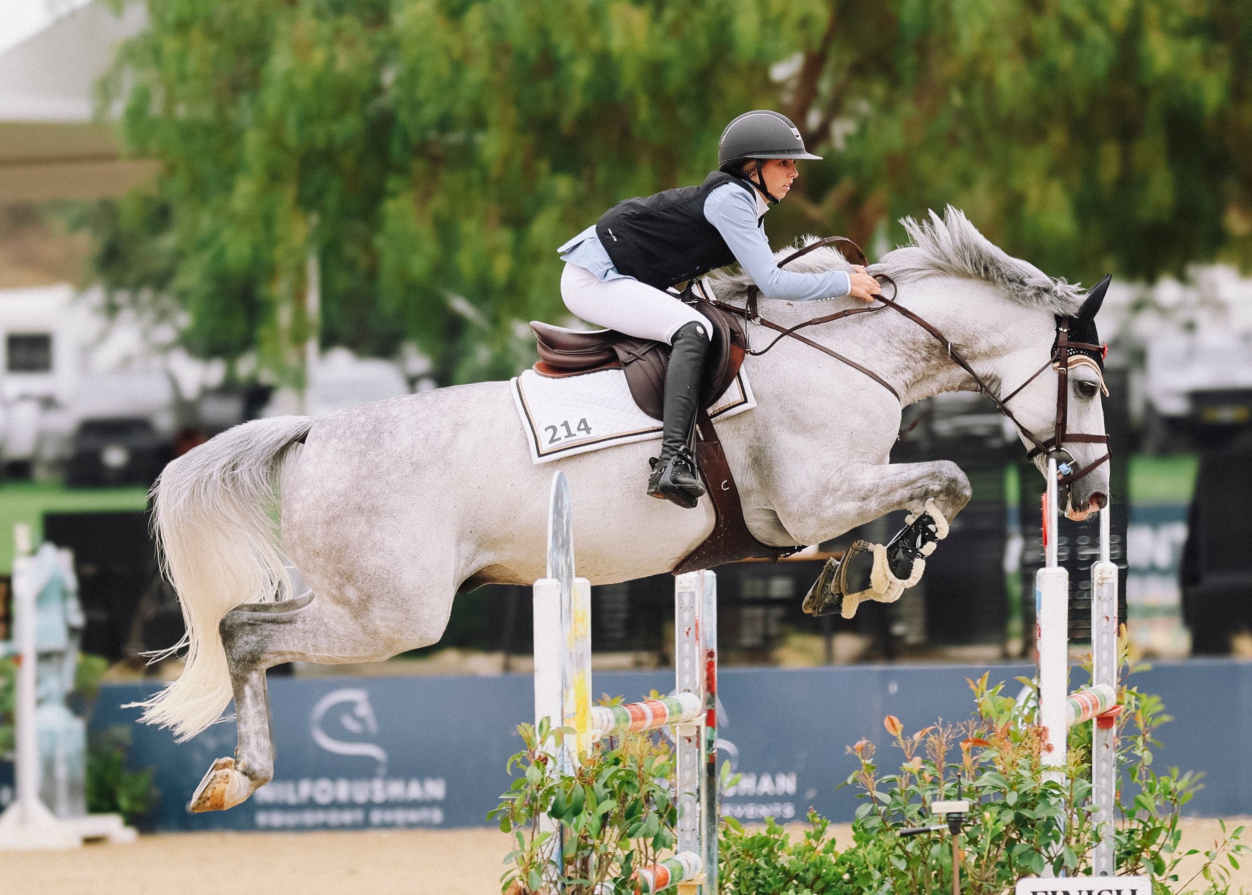 Horse and rider captured in the competition ring, jumping over a fence