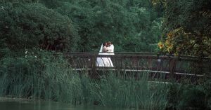 A long wooden bridge stretches across a scenic forest landscape surrounded by lush green trees.