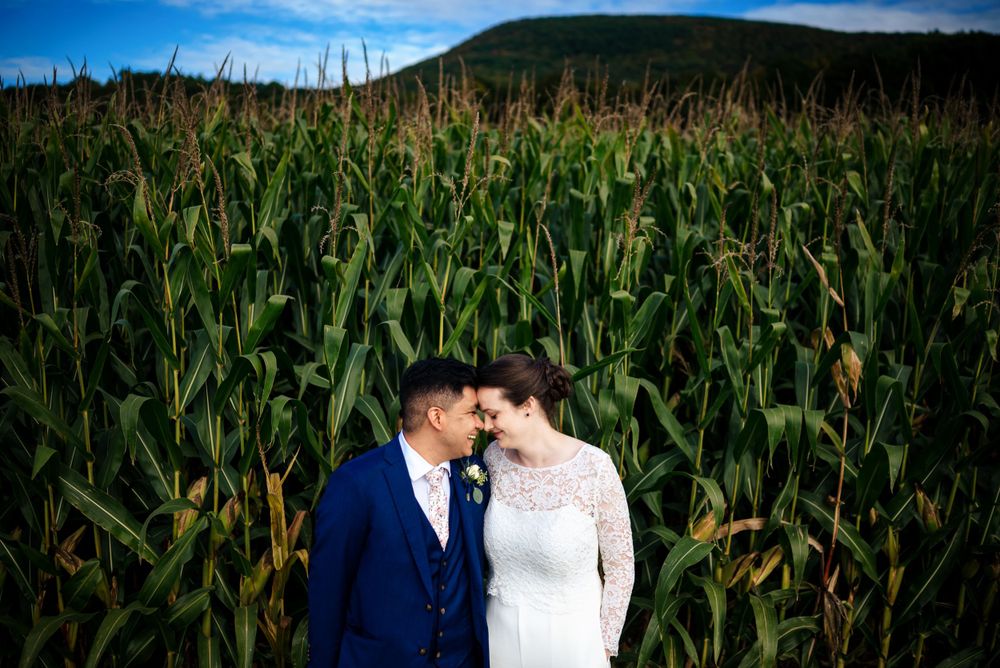 Newlyweds touching foreheads tenderly in front of a vibrant green cornfield under a blue sky.