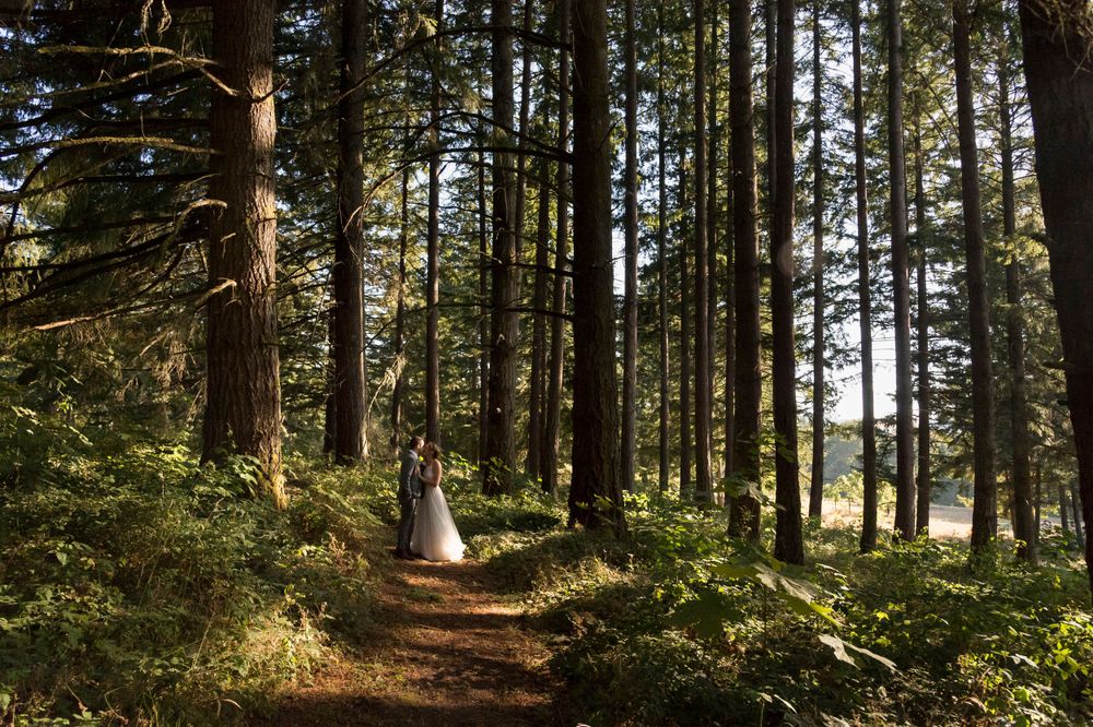 Bride and groom walking a sunlit forest trail surrounded by tall pine trees on their wedding day.