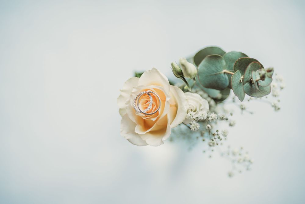 Delicate peach rose with eucalyptus leaves and baby's breath on light background.