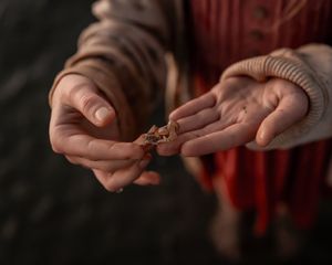 close up portrait of a child playing with a crab shell during a photo session