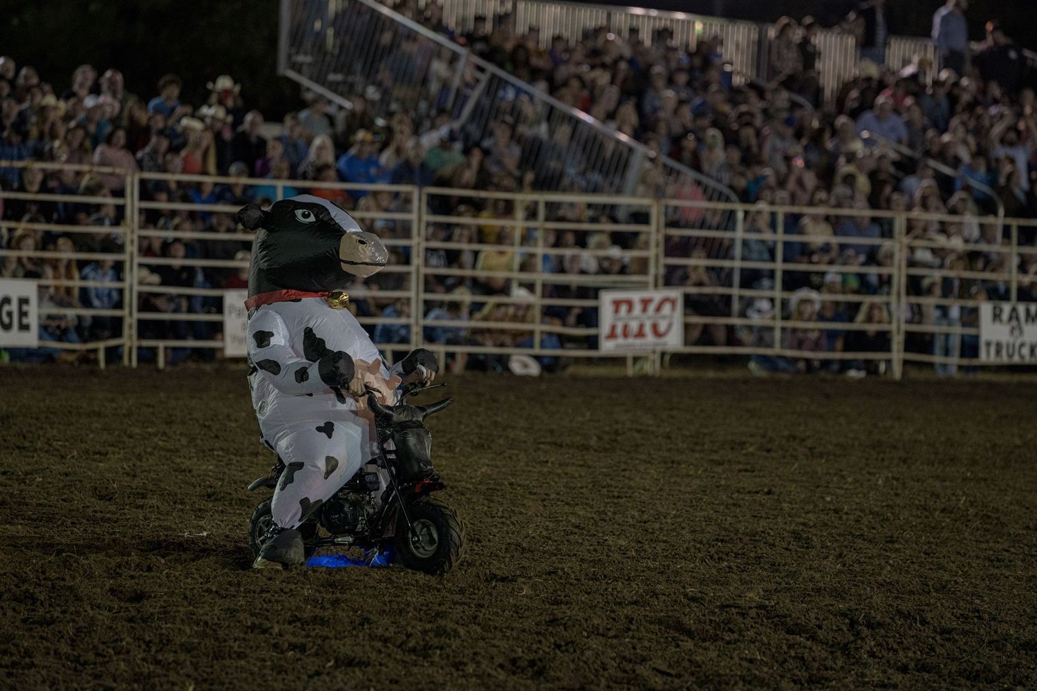 Rodeo cowboys compete in a bull riding event at a crowded nighttime arena.