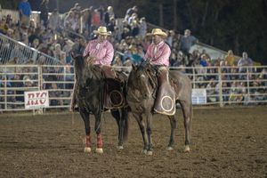 Cowboys on horseback compete in a traditional rodeo arena event during a western competition.