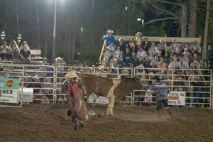 Night time rodeo scene showing a bull rider in action with arena lights illuminating the dusty arena.