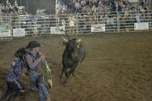 Rodeo rider attempting to stay mounted on a bucking horse during a competition at a crowded arena.