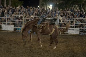 Bronc rider attempting to stay mounted on a bucking horse during nighttime rodeo performance.