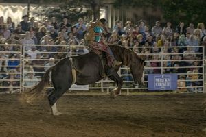 Rodeo competition scene showing a rider on a bucking horse with spectators in bleachers behind them.