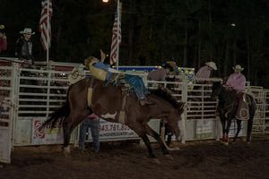 Rodeo cowboys compete in bull riding events at a nighttime arena with bright stadium lights illuminating the action.