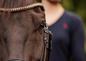 Liefdevolle paardenfotografie - LivHoomansPhotography - DeHippischeBeeldbank