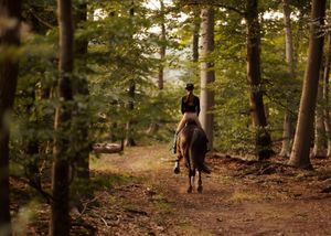 Liefdevolle paardenfotografie - LivHoomansPhotography - DeHippischeBeeldbank