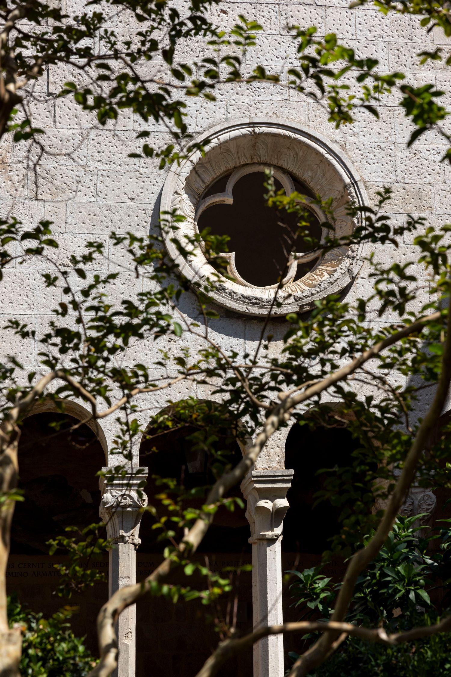 Franciscan library