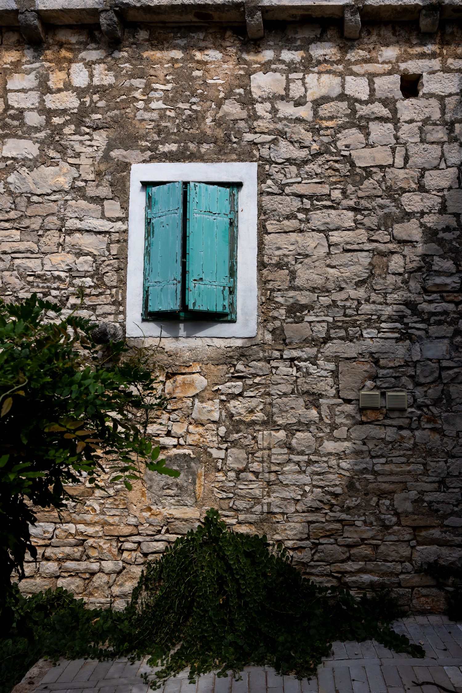 Šolta