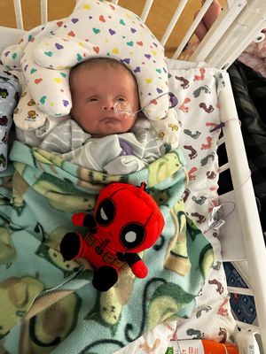 Newborn sleeping in crib with animal print bedding and red plush toy.